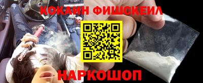 крисы Пенза