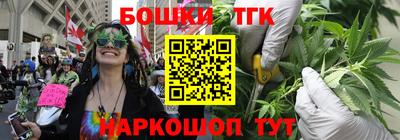 крисы Пенза
