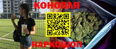крисы Пенза