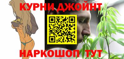 МДПВ Партизанск