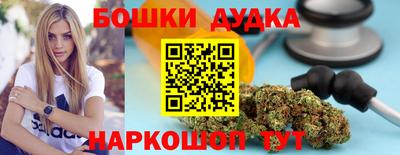 МДПВ Партизанск