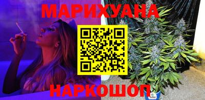 крисы Пенза