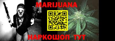 крисы Пенза