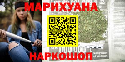 крисы Пенза