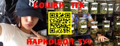 МДПВ Партизанск