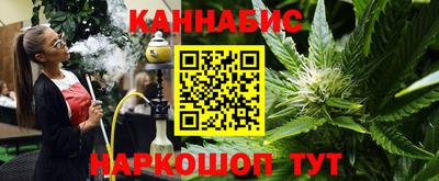 крисы Пенза